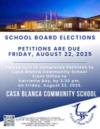 School Board Elections Petitions flyer