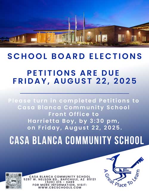 School Board Elections Petitions flyer
