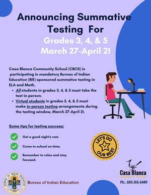 Summative Testing flyer